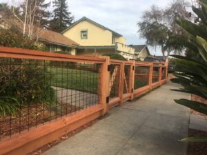 Chain Link Fence